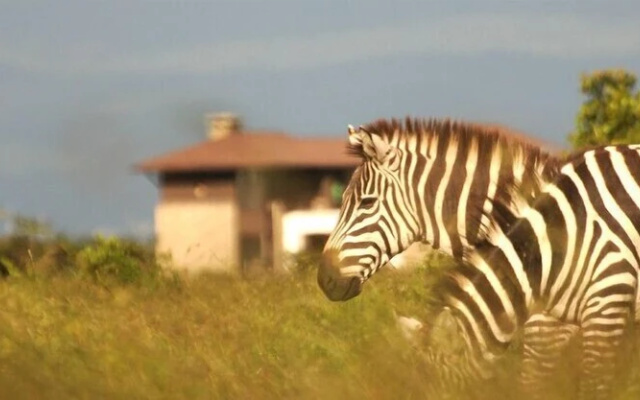 Ol Pejeta Holiday Villas