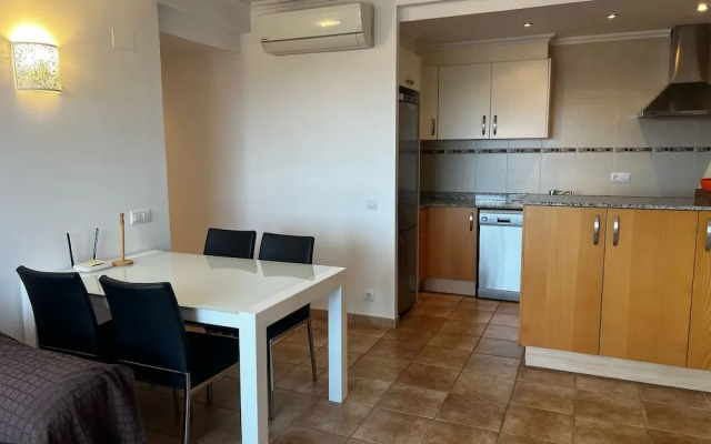 Jacaranda in Pedreguer