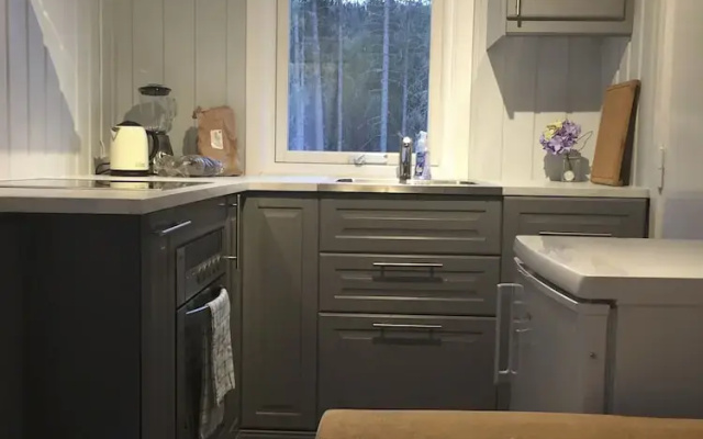 Koselig Hytte i Hemsedal