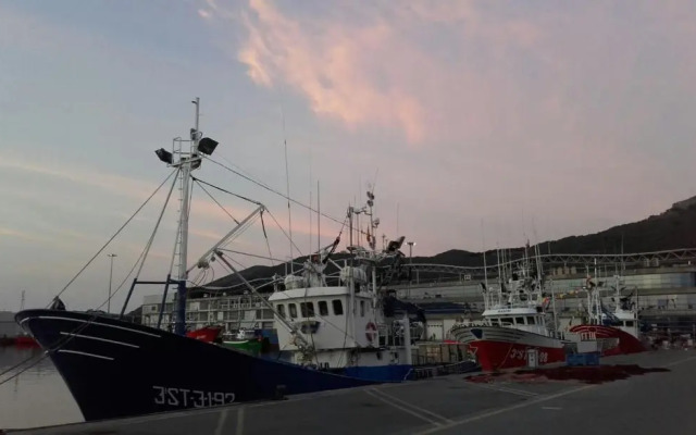 Hospedaje La Tortuga