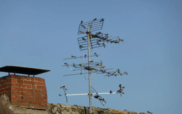 "weserbergland" Modern Retreat