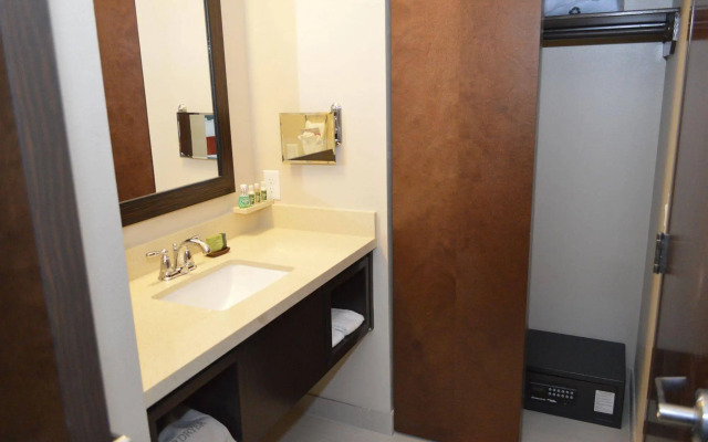 Best Western Premier Ashton Suites-Willowbrook