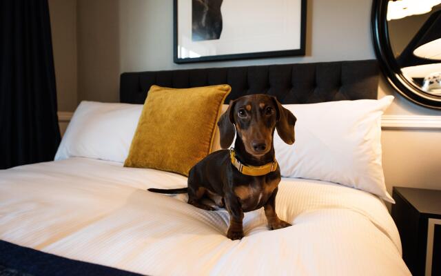 voco Kirkton Park Hunter Valley  by IHG