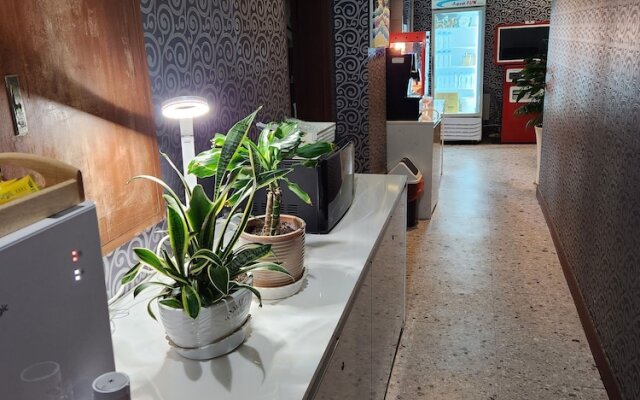 Hotel Hany