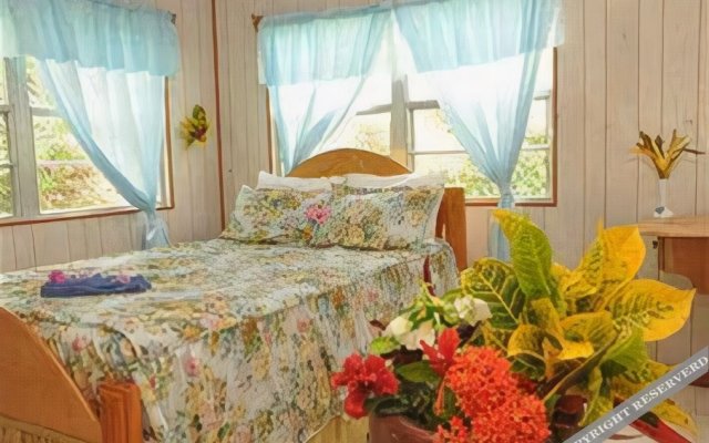 Oceanic View Exclusive Vacation Cottages