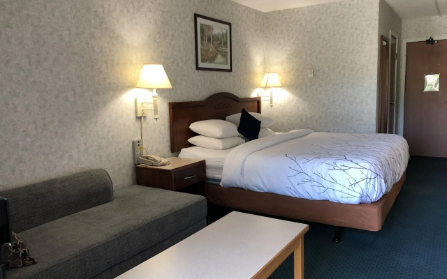 Canadas Best Value Inn & Suites Castlegar