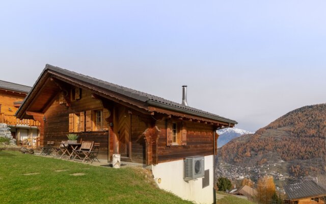 Chalet Belle Vue 10 Pers Fireplace Apple TV