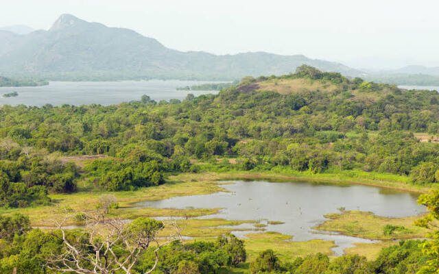 Wild Grass Nature Resort