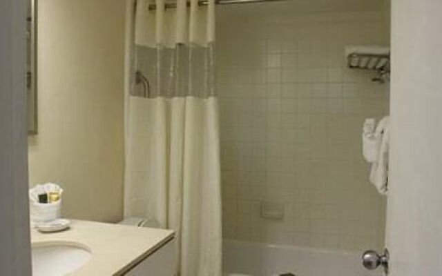 Stayable Select Gainesville