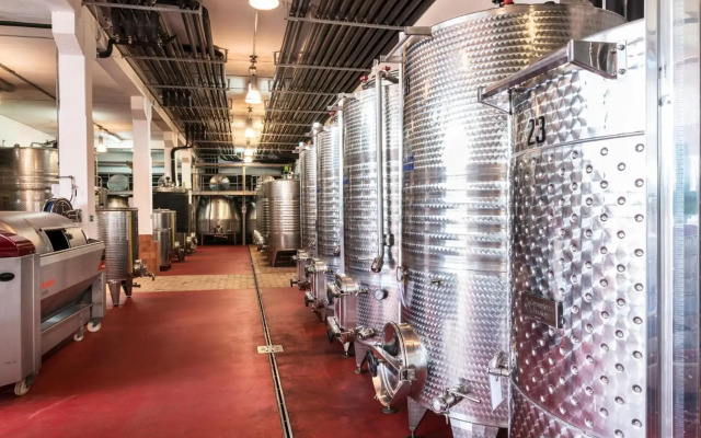 Tenuta Casteani
