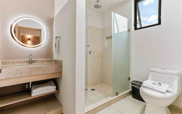 Pájaros by Homirent