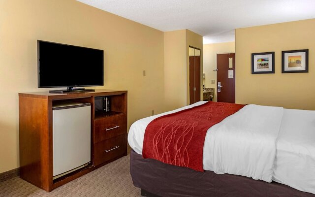 Comfort Inn Garner