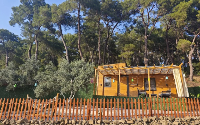 Ti̇ny Mi̇ni̇ House