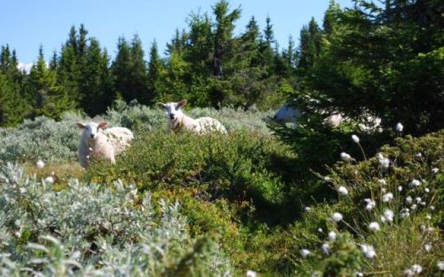 Nordseter Fjellpark, Hyttegrend