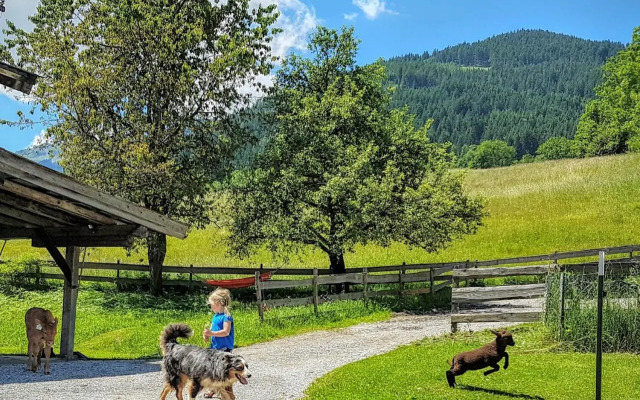 Biobauernhof Stegerbauer