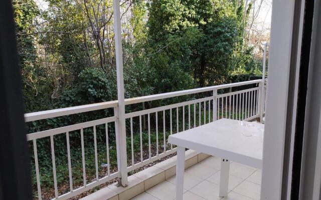 Wonderful and cozy 50m from the sea