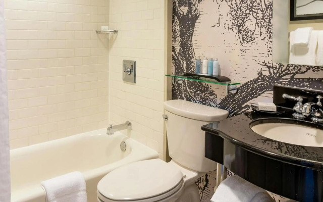 Williamsburg Lodge, Autograph Collection