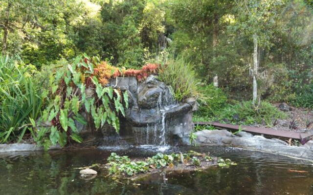 Cooroy Country Cottages