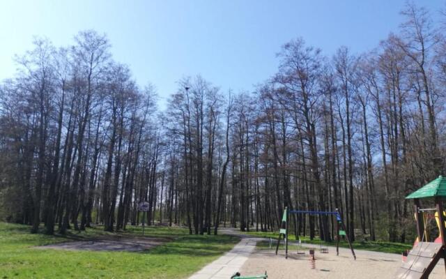 Sunny Beech Side Klaipedas 84