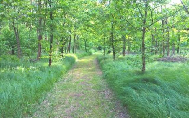 Agriturismo La Forestina