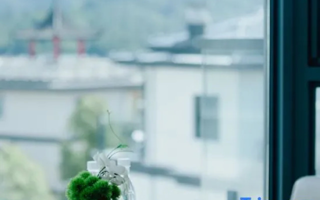 Wuyi Mountain Xiyinshanshu Homestay