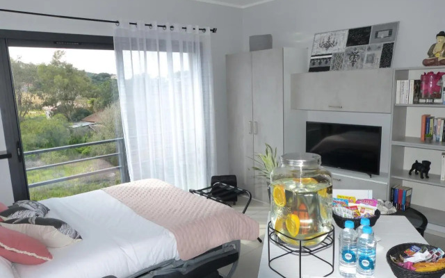 Grand & beau studio climatisé vue sur mer