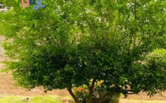 Apartamento, Zona Leste, ótima localização.