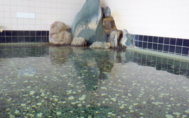 Nagaoka Kamaburo Onsen Ryokan