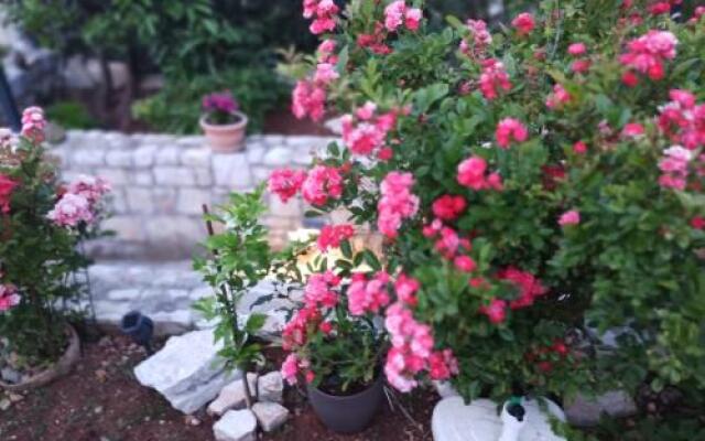 Apartments Zlatko Slobodan