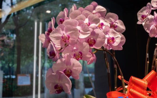 Waiting Hotel (Shanghai Hongqiao Tianshan Road)