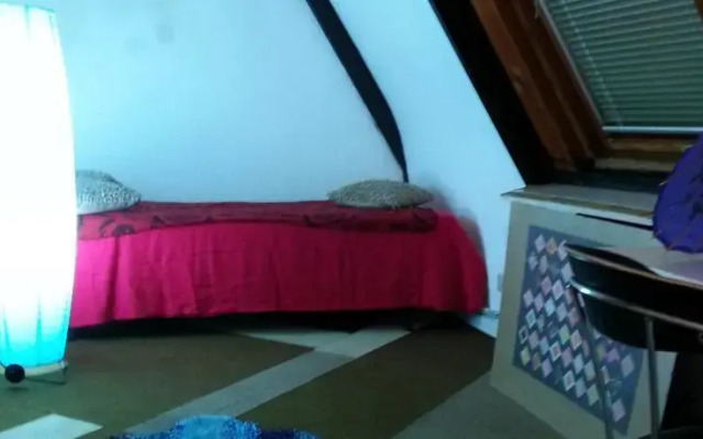 Studio Elios