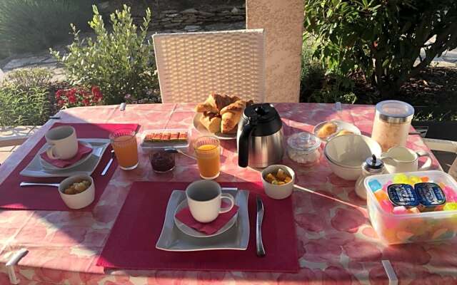 Entre olivier et mimosa