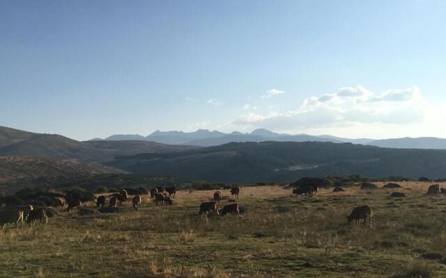 Apartamento Almanzor