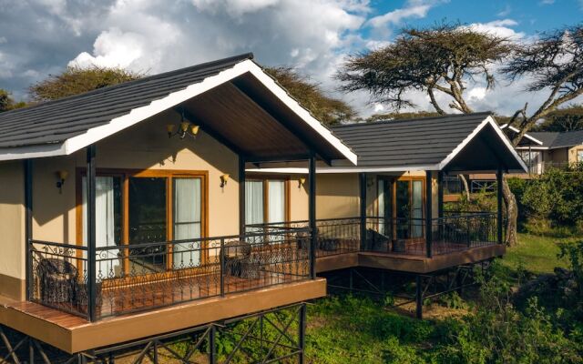 Ngorongoro Lions Paw