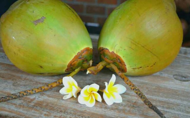 Coconut Dream Bungalow