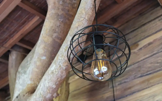 Roots Tree House