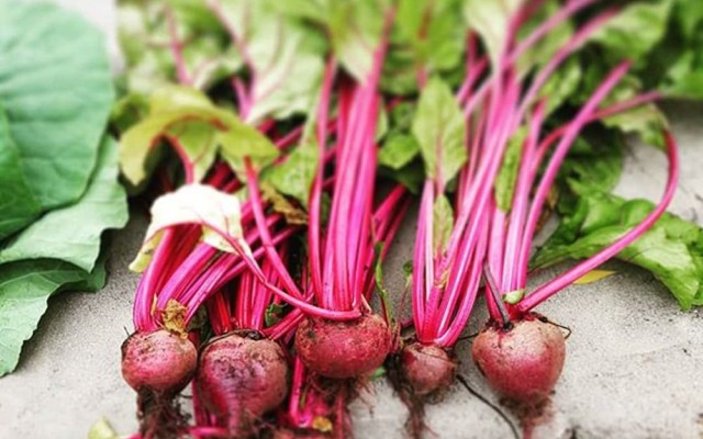 Caparica Azores Ecolodge