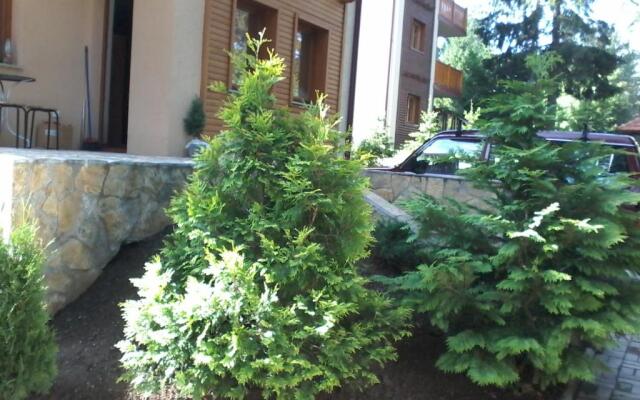 Apartment Joksimovic