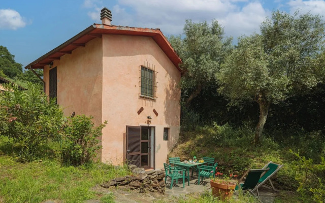 San Remigio Massa in Massa