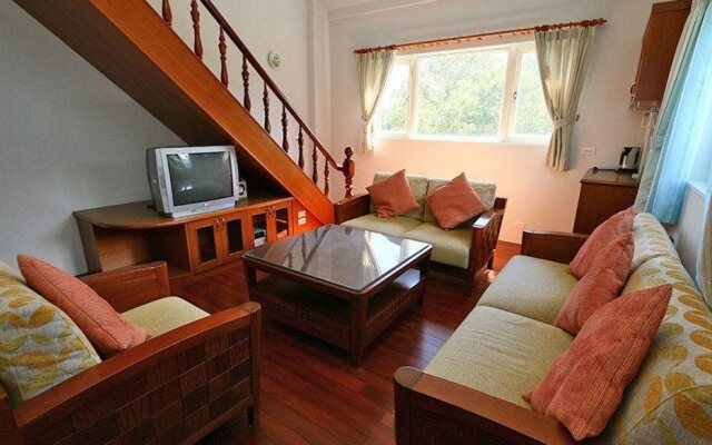 camphor tree manor