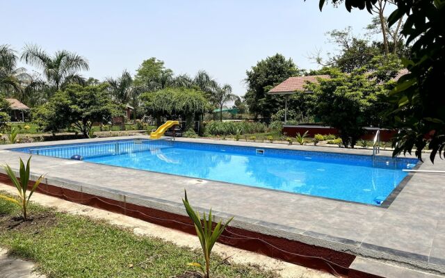 Mango Tree Farm