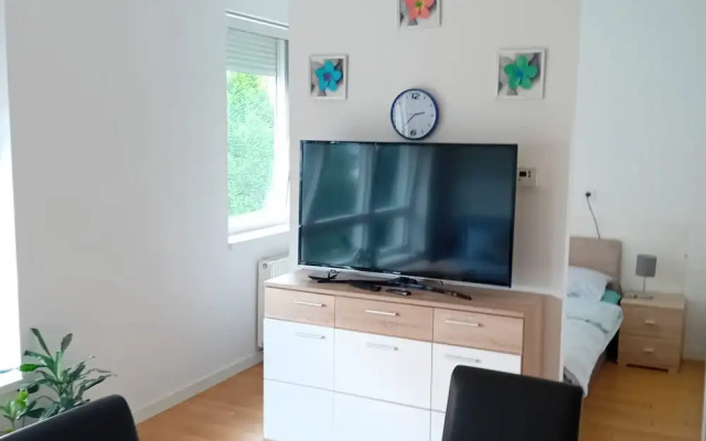 Apartment Cankareva