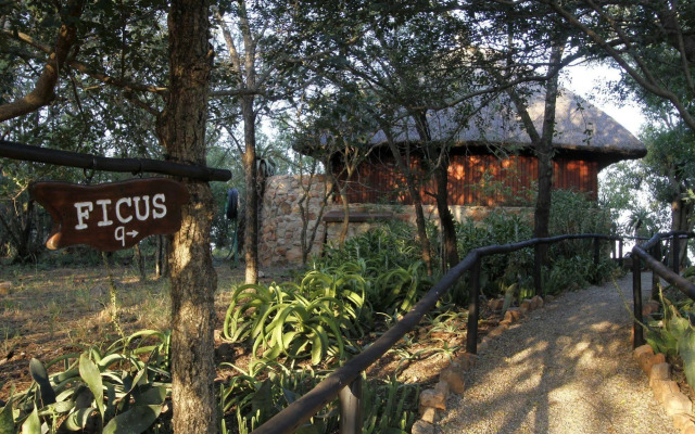 Shayamoya Tiger Fishing and Game Lodge