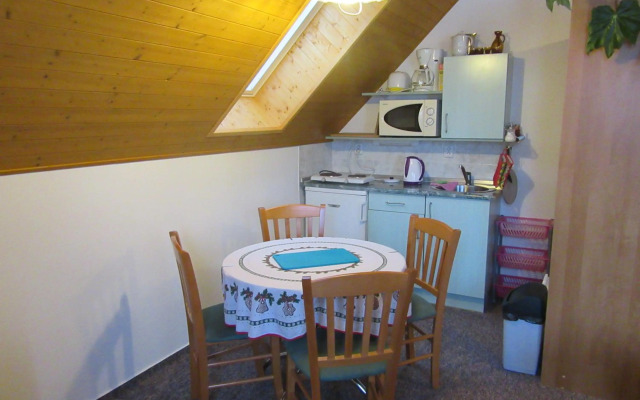 Apartment Dvořáků