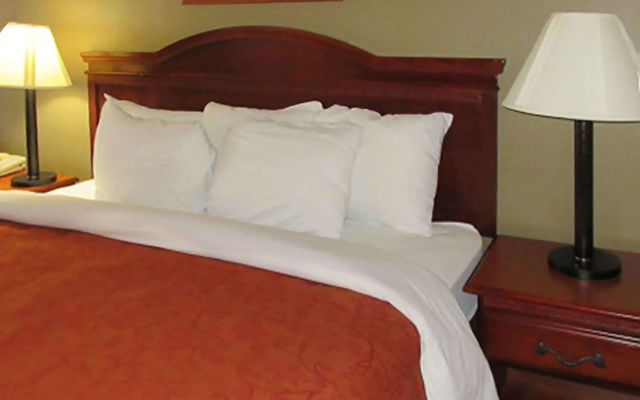 Rodeway Inn Walterboro I-95