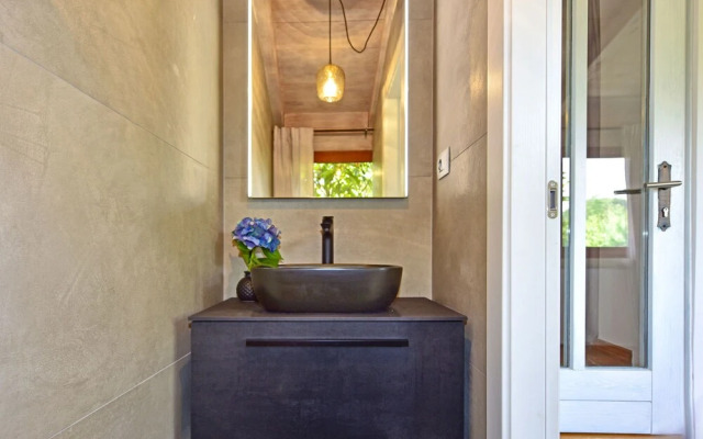 Hibiskus Tadini in Tadini