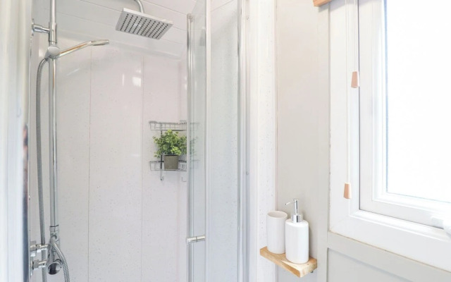 Red Kite at Wild Valley Huts