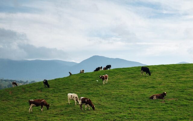 Riseans White Palace