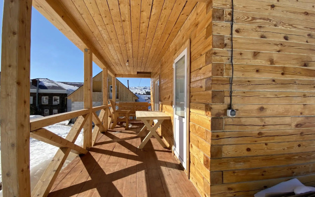 Кедр Золотой