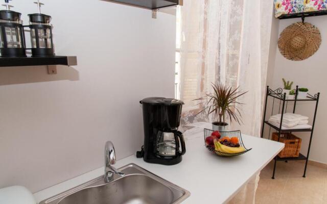 17 Flats and Roof Garden